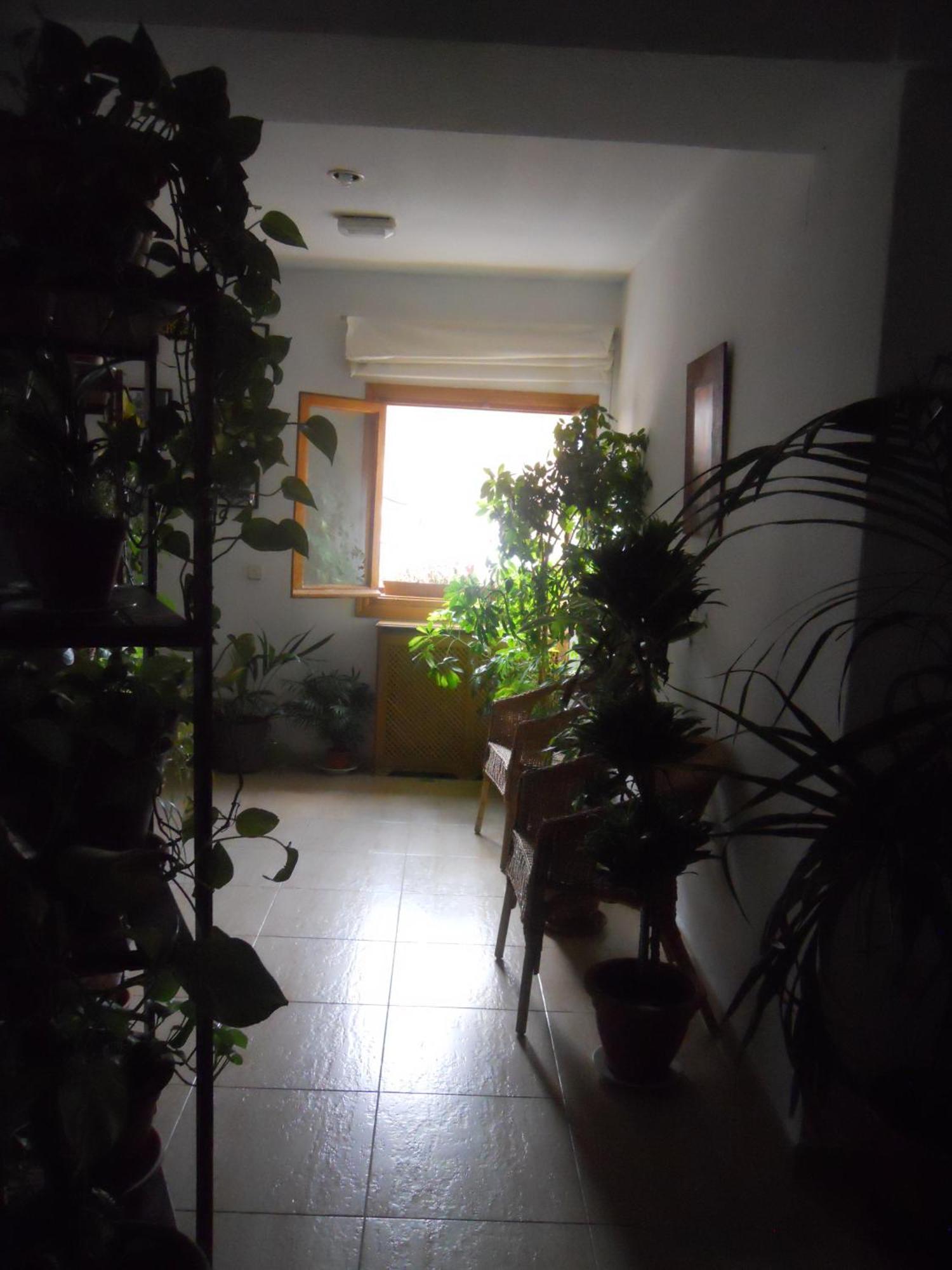 Hostal El Descanso Madrid Esterno foto