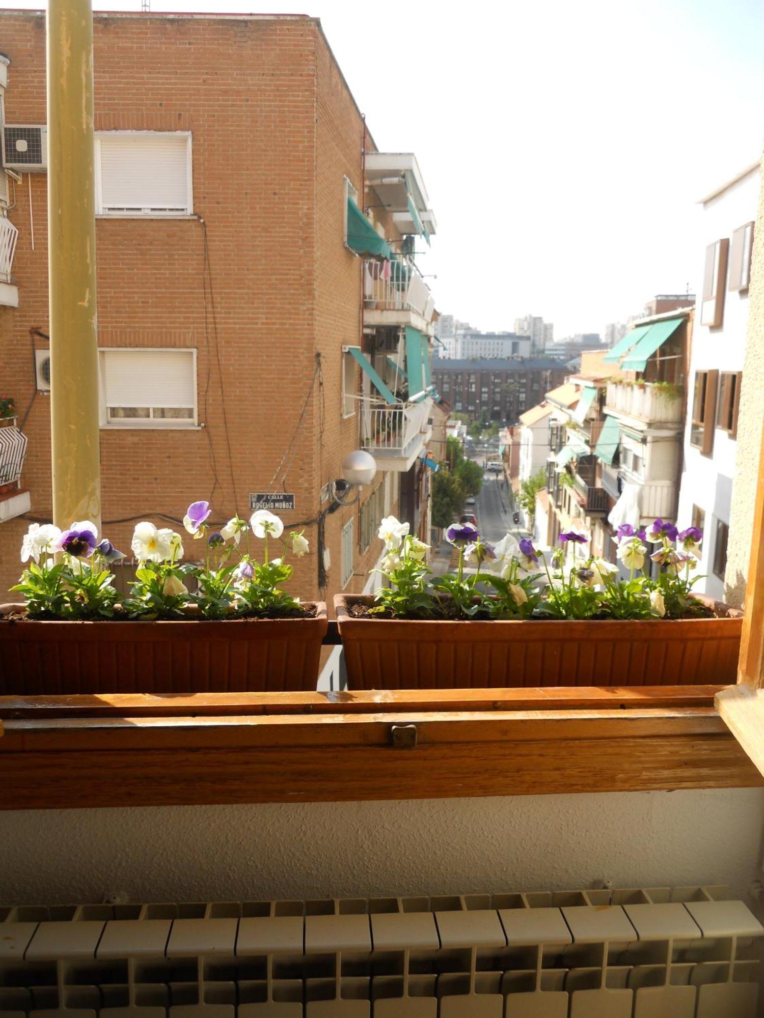 Hostal El Descanso Madrid Esterno foto
