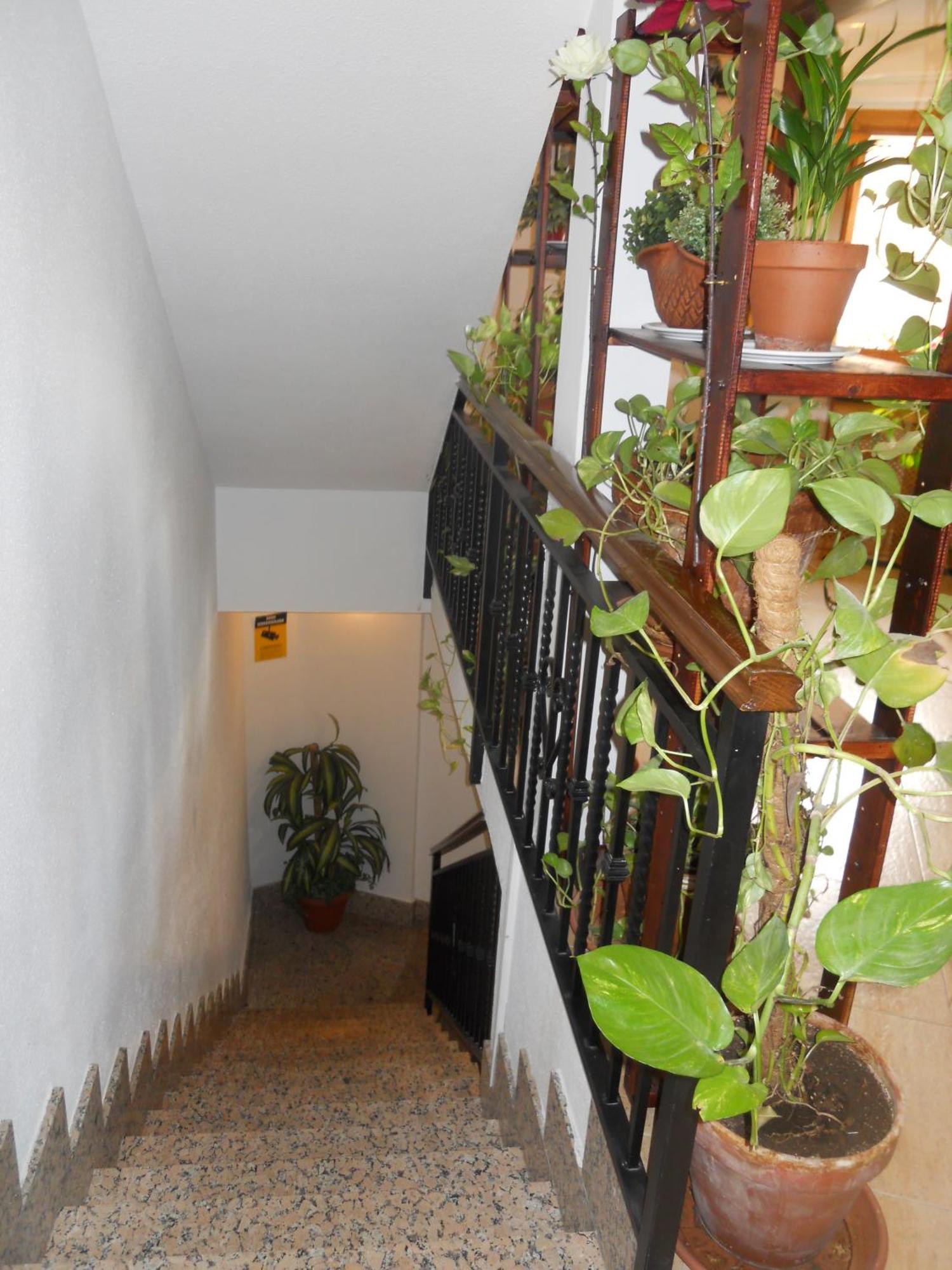 Hostal El Descanso Madrid Esterno foto